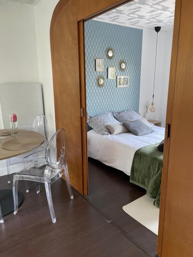 50 M2 T2 Au Calme, Lumineux, Confortable, Cosy, Climatise, Privatif Avec Parking Gratuit Et Terrasse Τουλούζη Εξωτερικό φωτογραφία